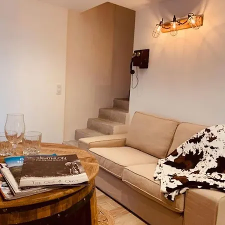 Chalet Le Belvedere 8 Personnes * Gerardmer