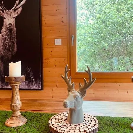 Chalet Chalet Le Belvedere 8 Personnes Gerardmer